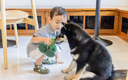 老夫婦と犬の画像