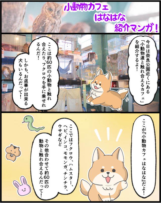 マンガ01