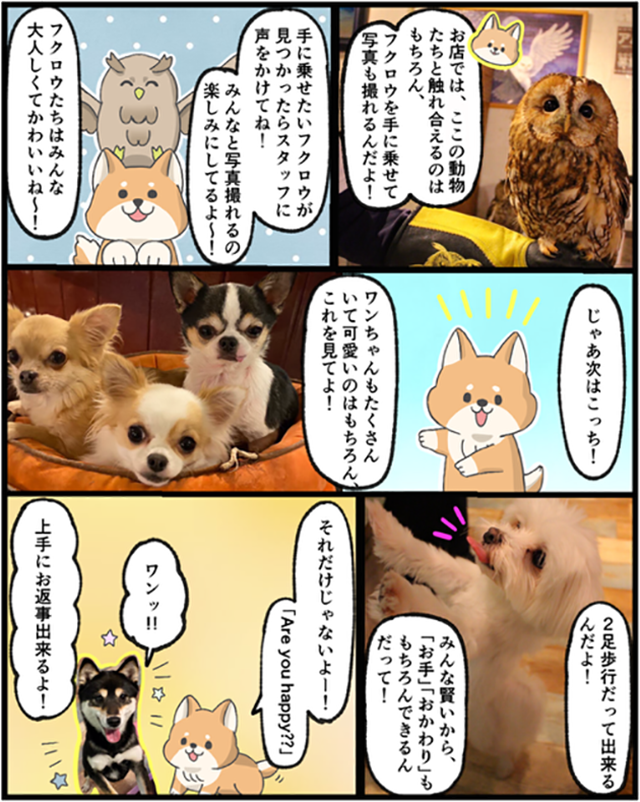 マンガ01