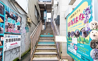 階段